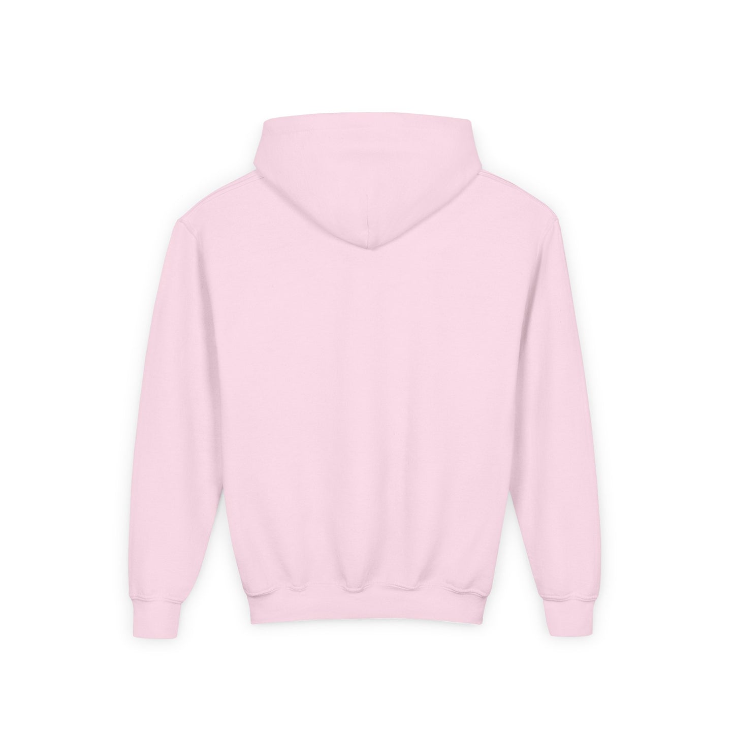 Youth Embroidered Hoodie in Pink
