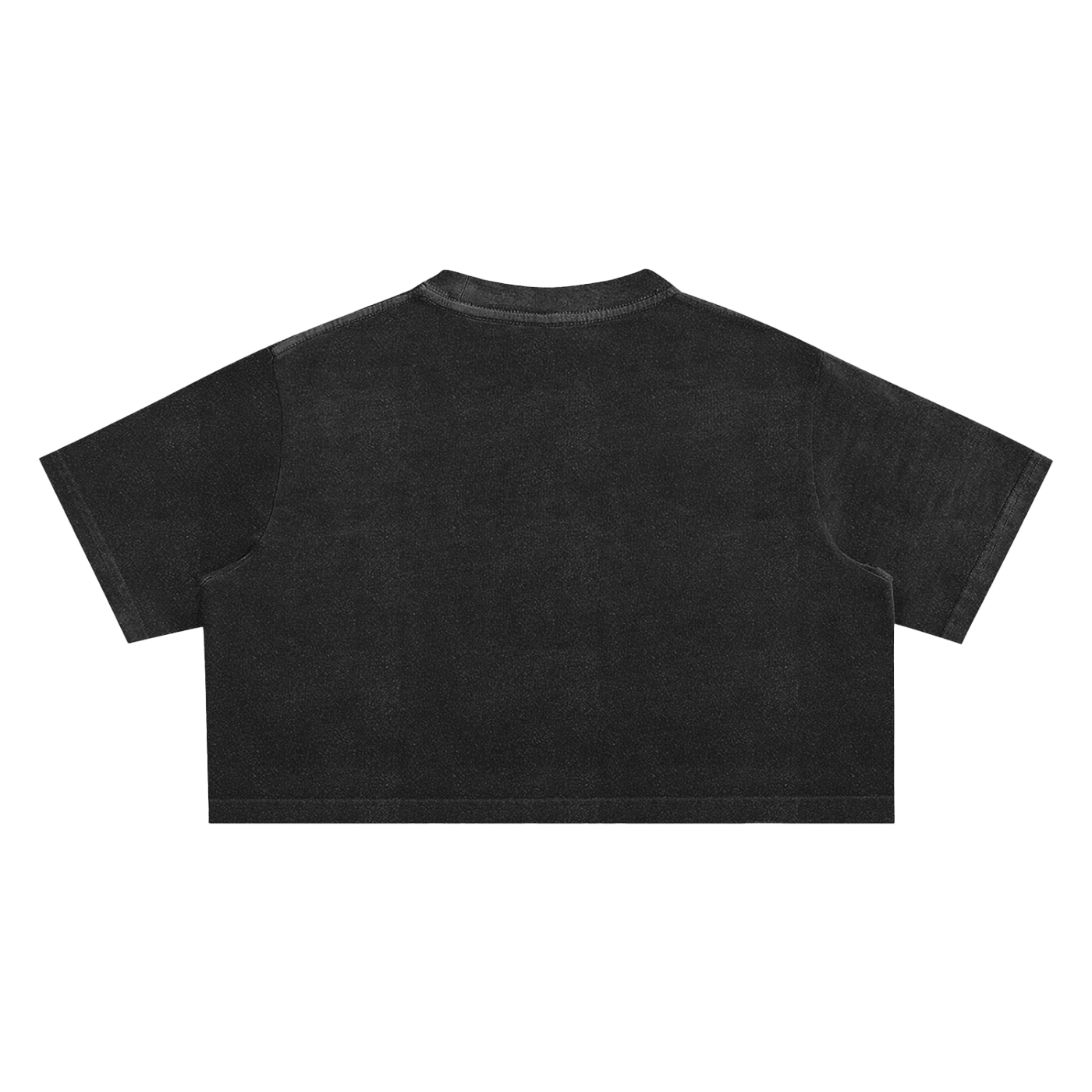 Adult Snow Washed Cropped Tee