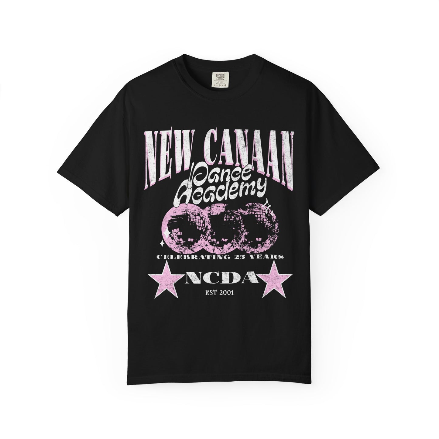 Adult 25th Year Tee
