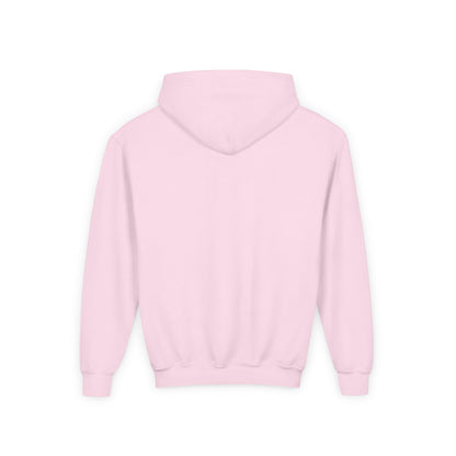 Youth Embroidered Hoodie in Pink