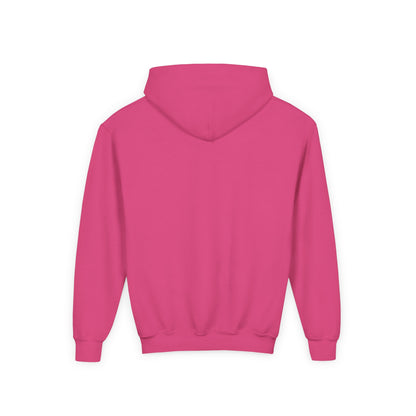 Youth Embroidered Hoodie in Pink